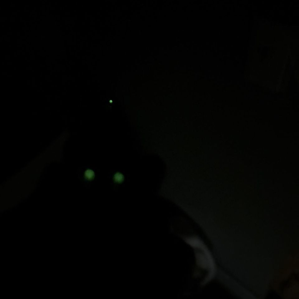 Image 3 - P320 compact 40 conversion