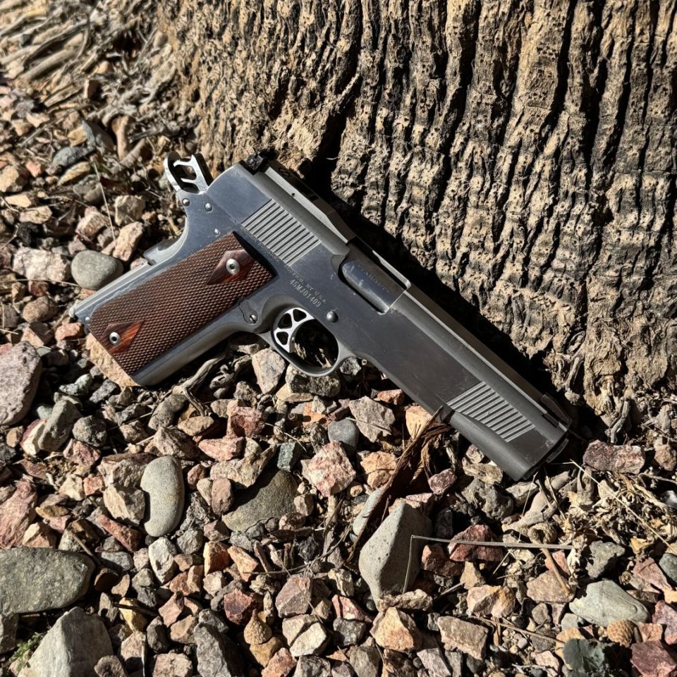 Image 2 - Dan Wesson PM1-S Pointman 45 