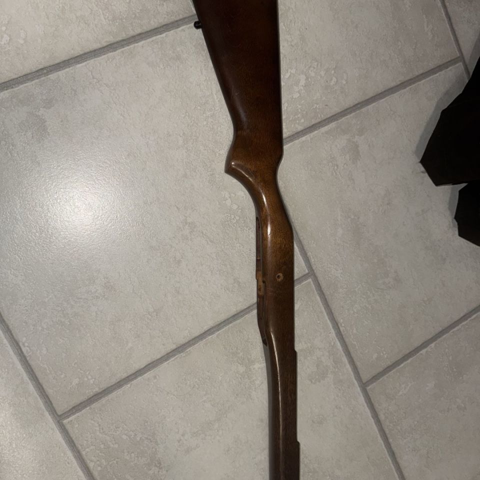 Image 1 - Ruger Mini 14 wood stock 