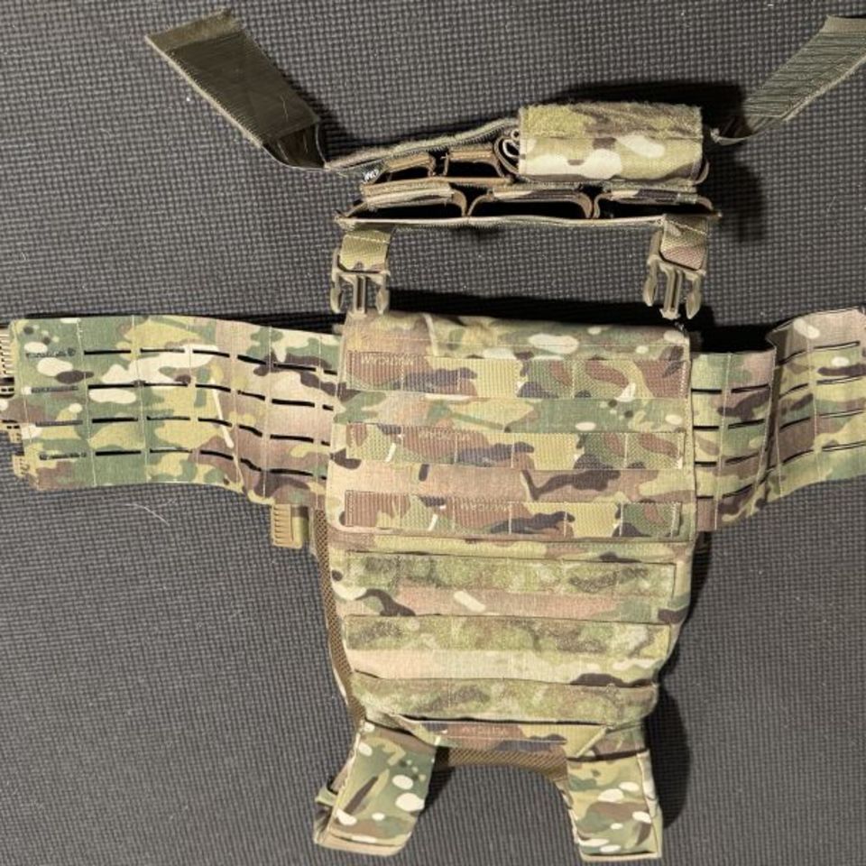 Image 3 - Defense Mechanisms (New)