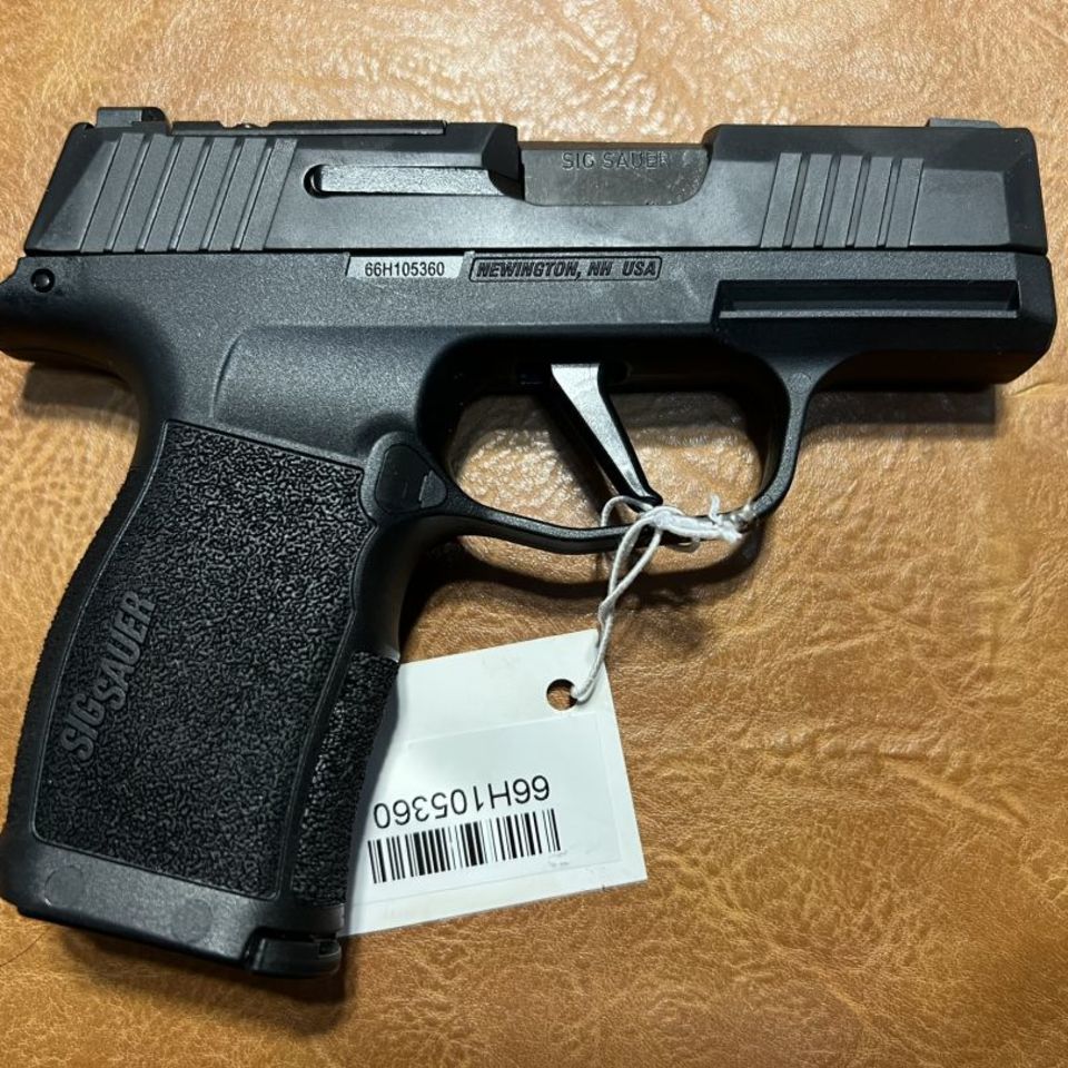 Image 1 - P365X 12+1 3 MAGS OR NS BNIB