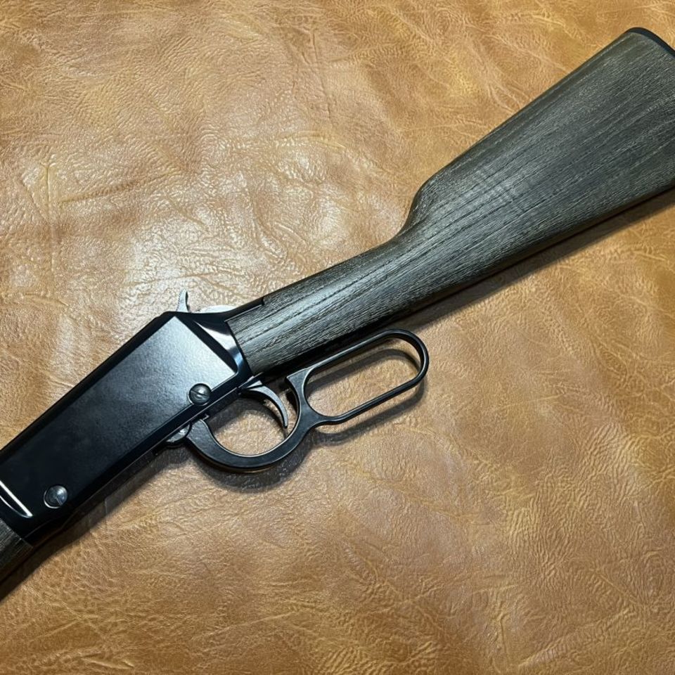 Image 4 - Henry Garden Gun .22LR 