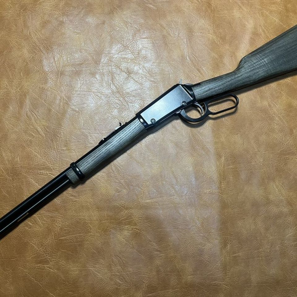 Image 3 - Henry Garden Gun .22LR 