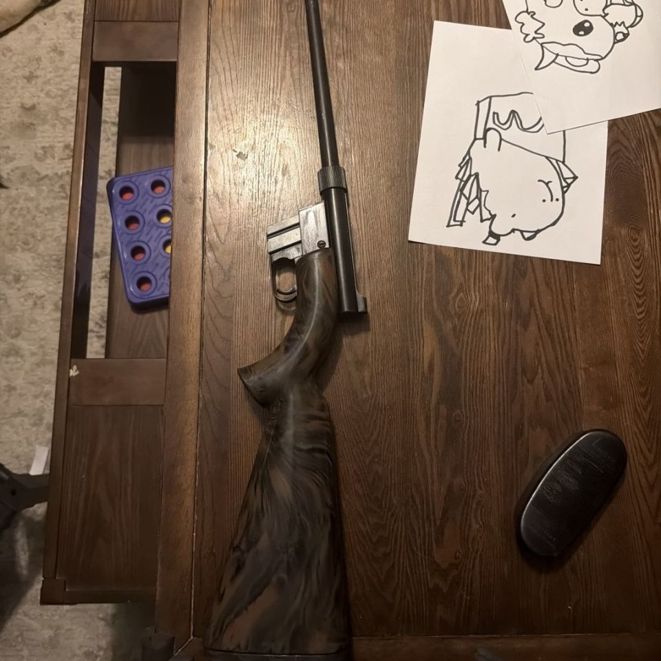 Image 2 - Armalite AR7