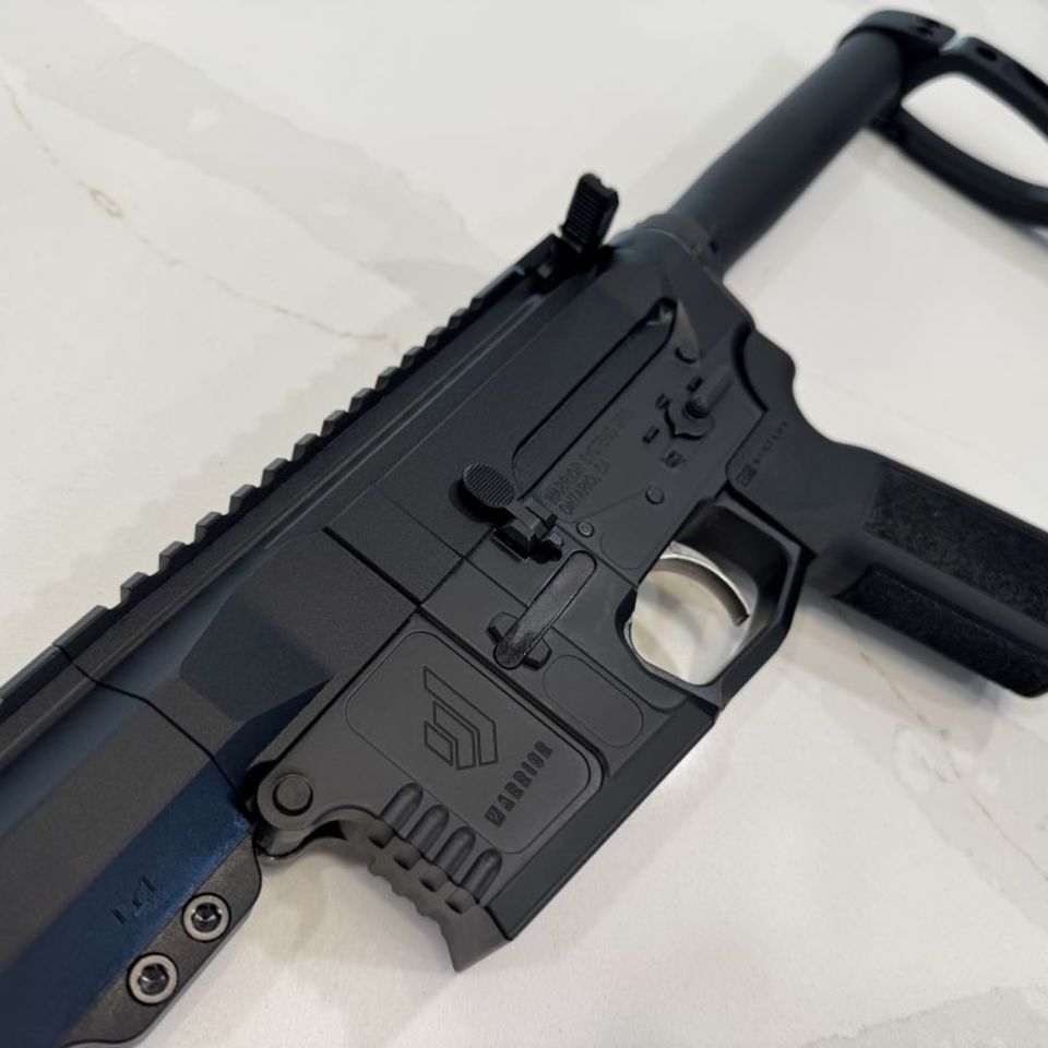 Image 4 - AR-15 Braced Pistol in 5.56