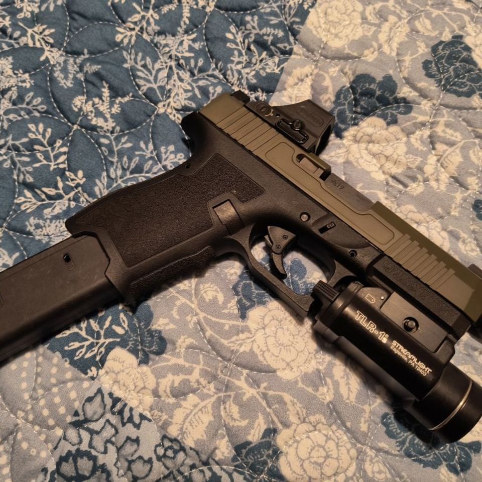 Image 2 - PSA Dagger w/ 508T + TLR-1s