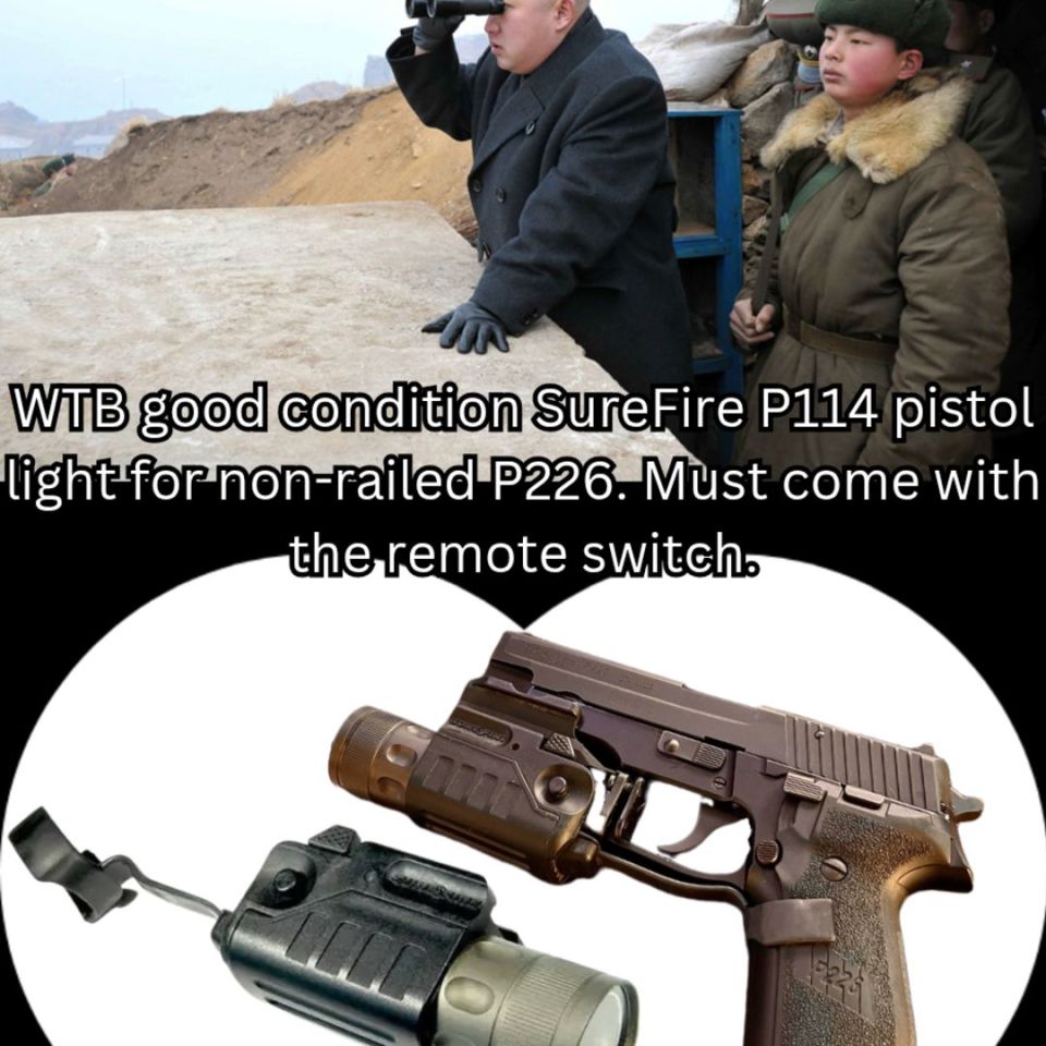 Post 1 - WTB SureFire P114