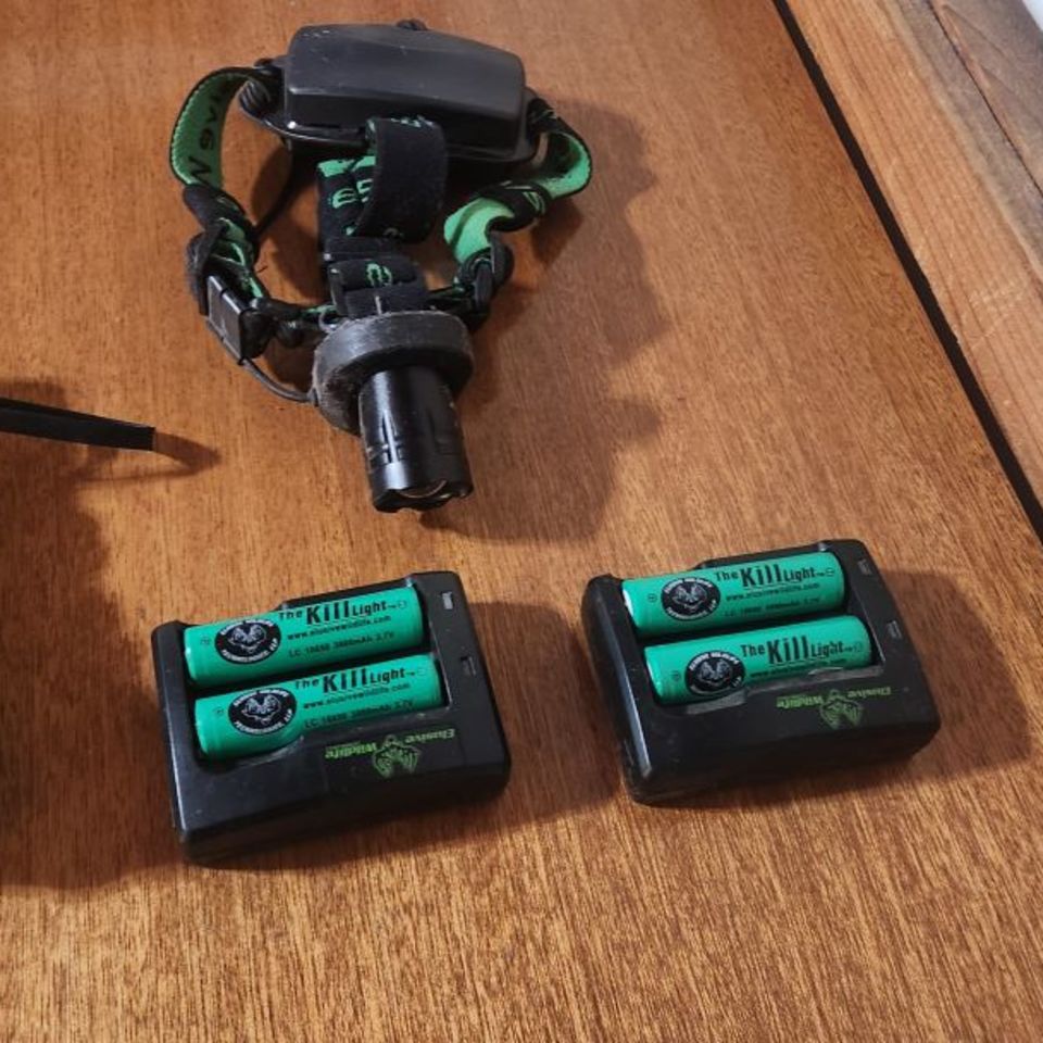 Post 1 - Elusive wildlife kill Light's 