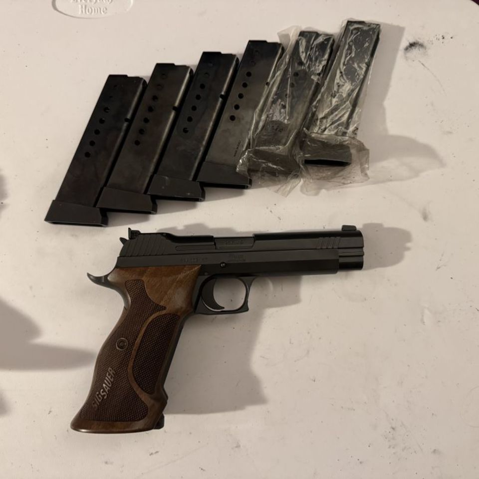 Post 2 - Sig P210 Target