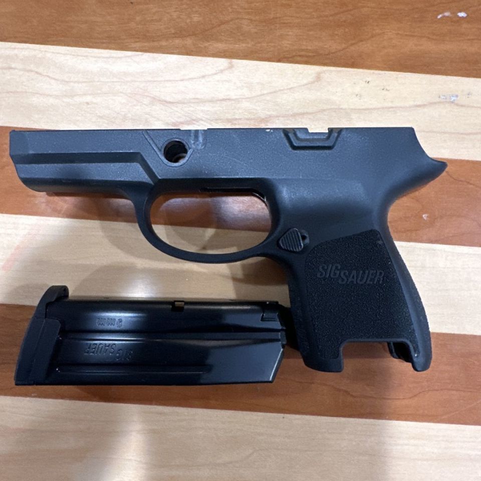 Post 1 - Sig p 3 something grip and mag
