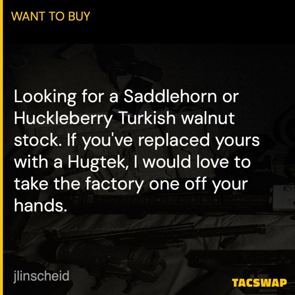 Post 1 - G-Force Saddlehorn Stock