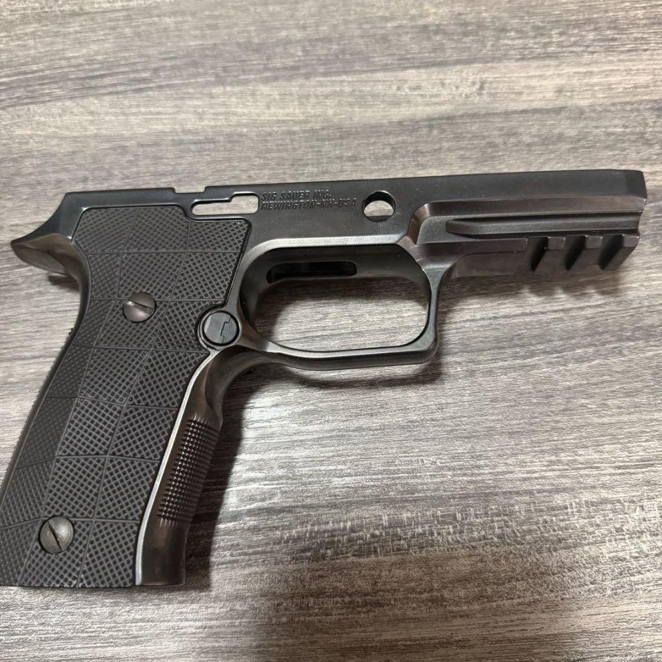 Post 2 - Sig AXG Grip