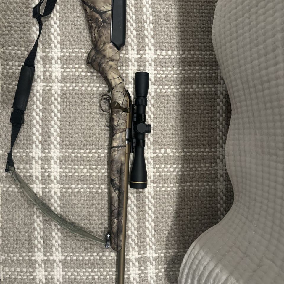 Post 1 - Ruger American Rimfire Go Wild