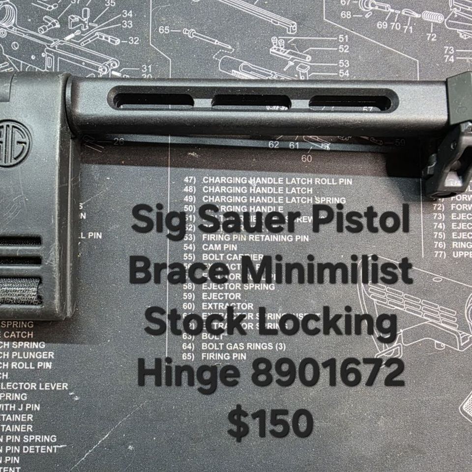 Post 4 - Sig Brace