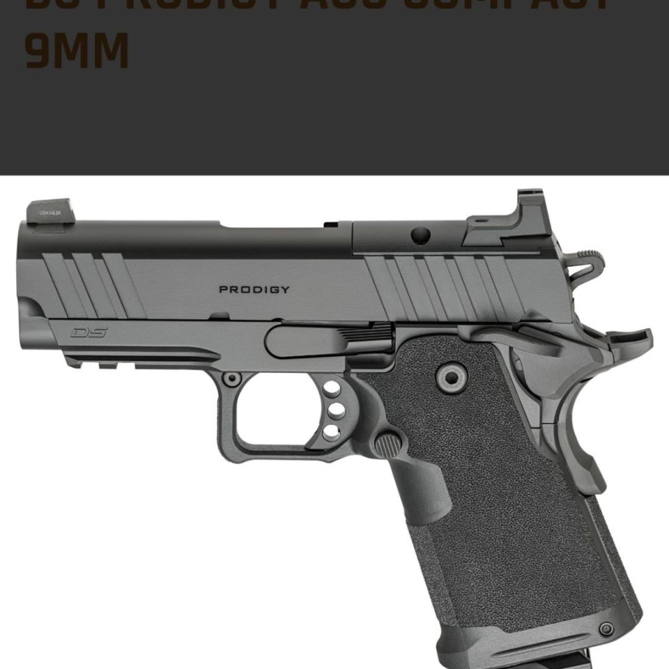 Post 3 - Springfield prodigy 