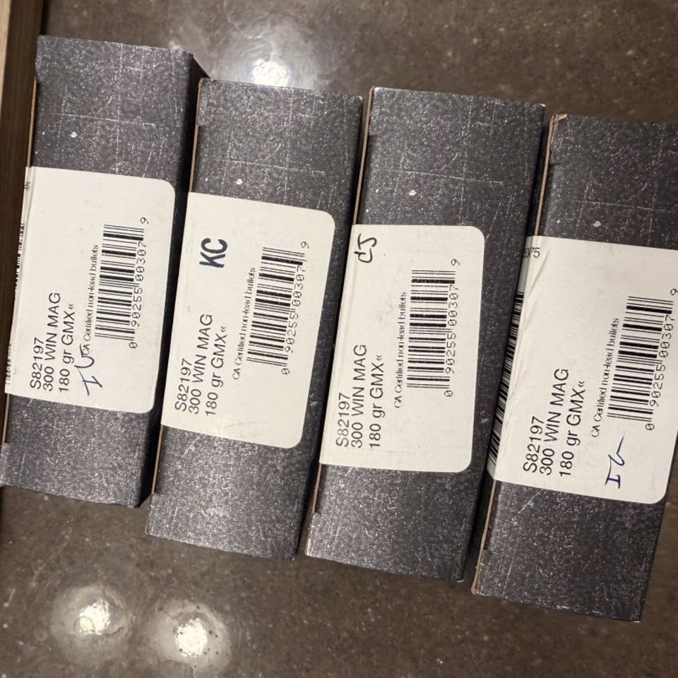 Post 5 - Hornady 300 Win Mag 180 gr GMX