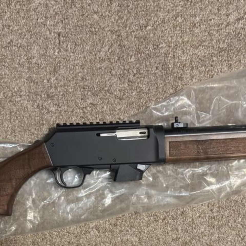 Post 3 - Henry homesteader 