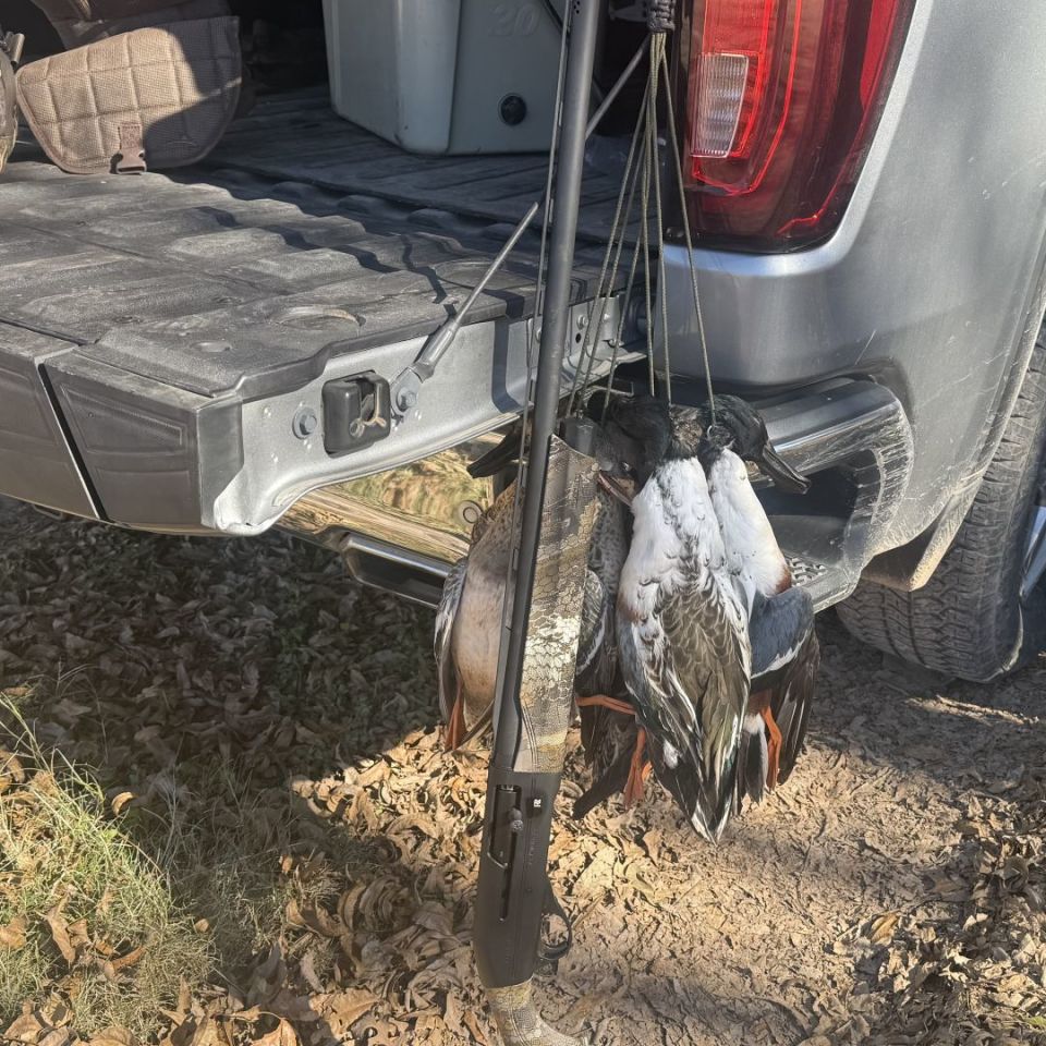 Post 1 - Franchi affinity 3 sporting 12