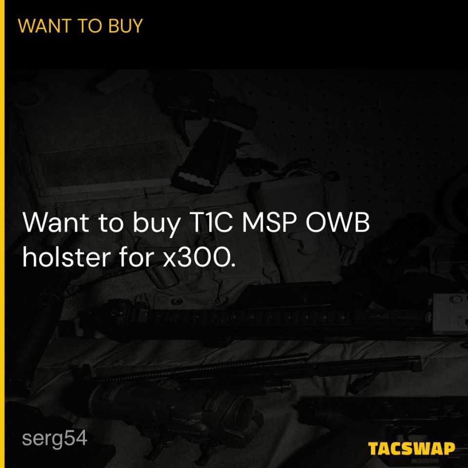 Post 3 - Tier 1 Concealed MSP OWB x300 