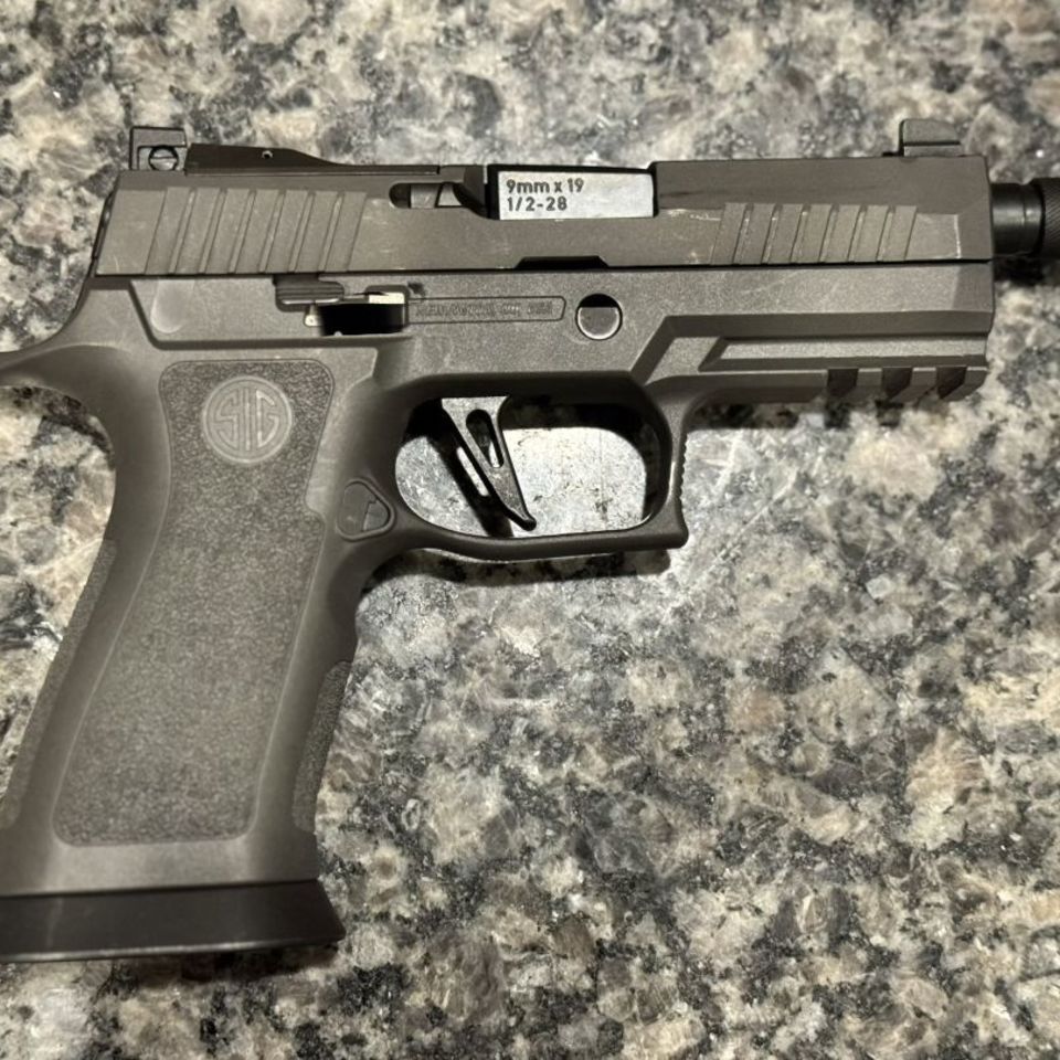 Post 3 - Sig Sauer Legion X-Carry