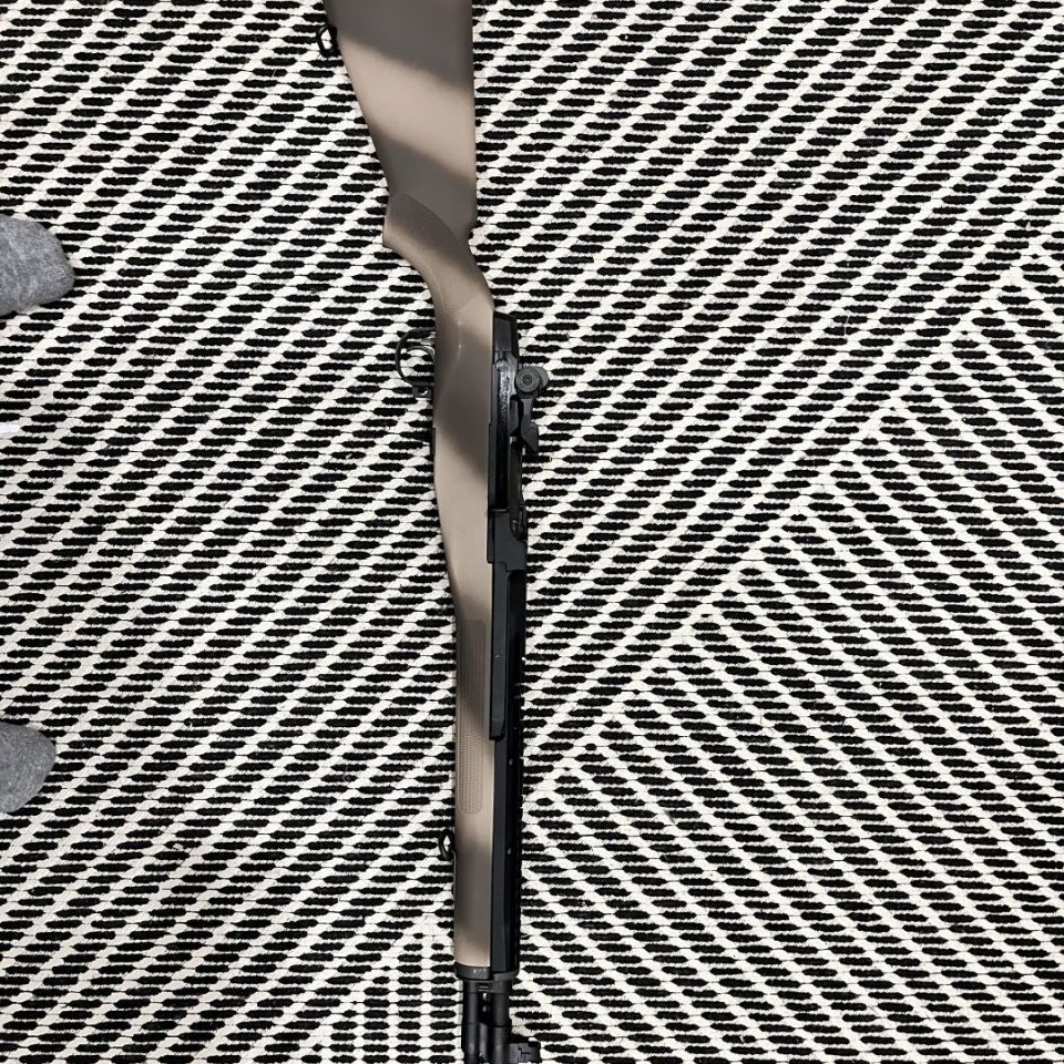 Post 1 - M1A Scout Criterion 