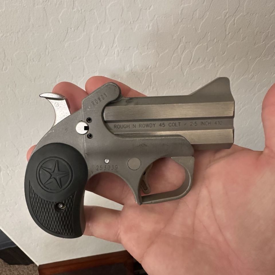 Post 1 - Bond Arms Rowdy