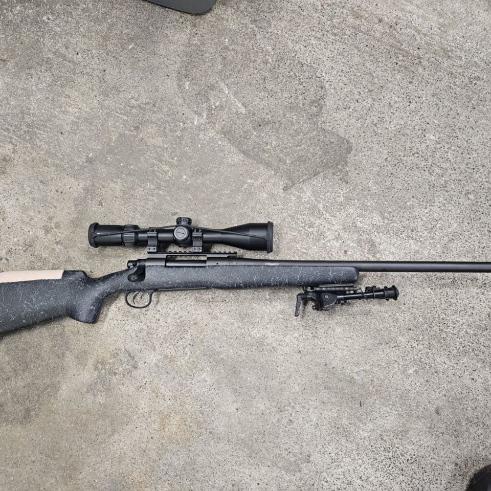 Post 1 - Remington 700 300wm