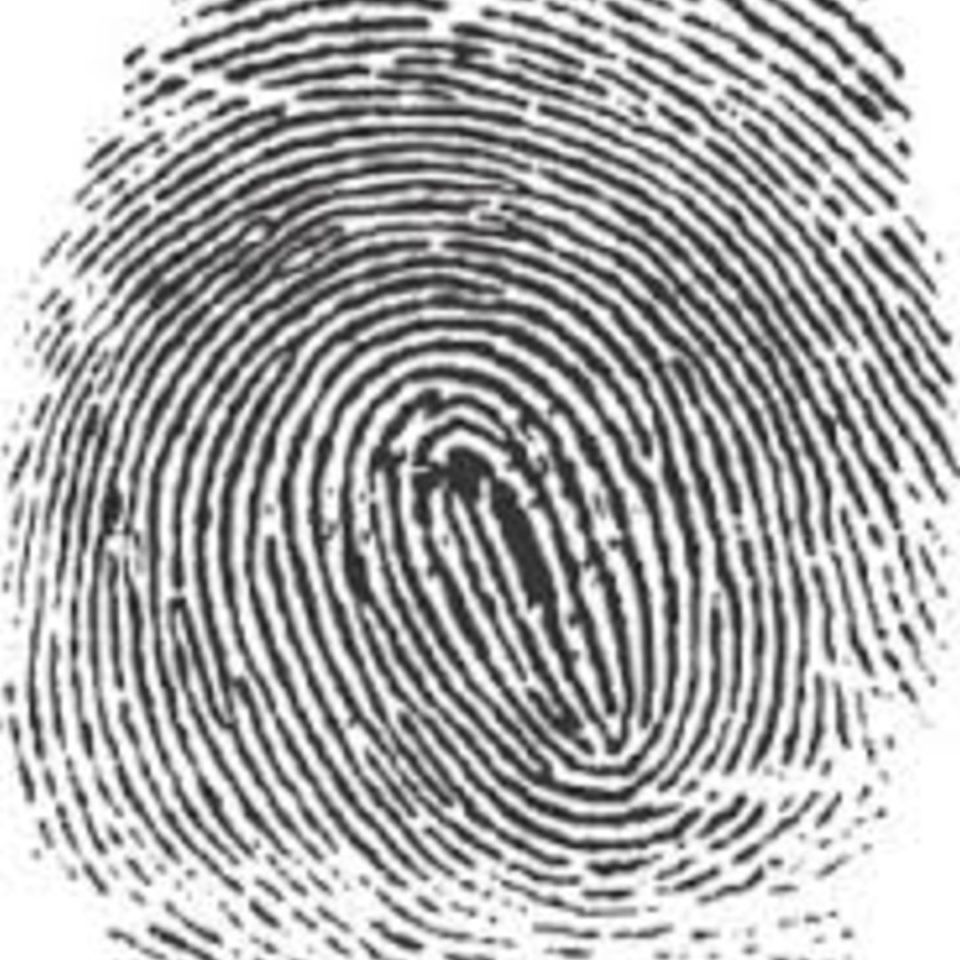 Post 2 - NFA Form 1 & 4 Fingerprints