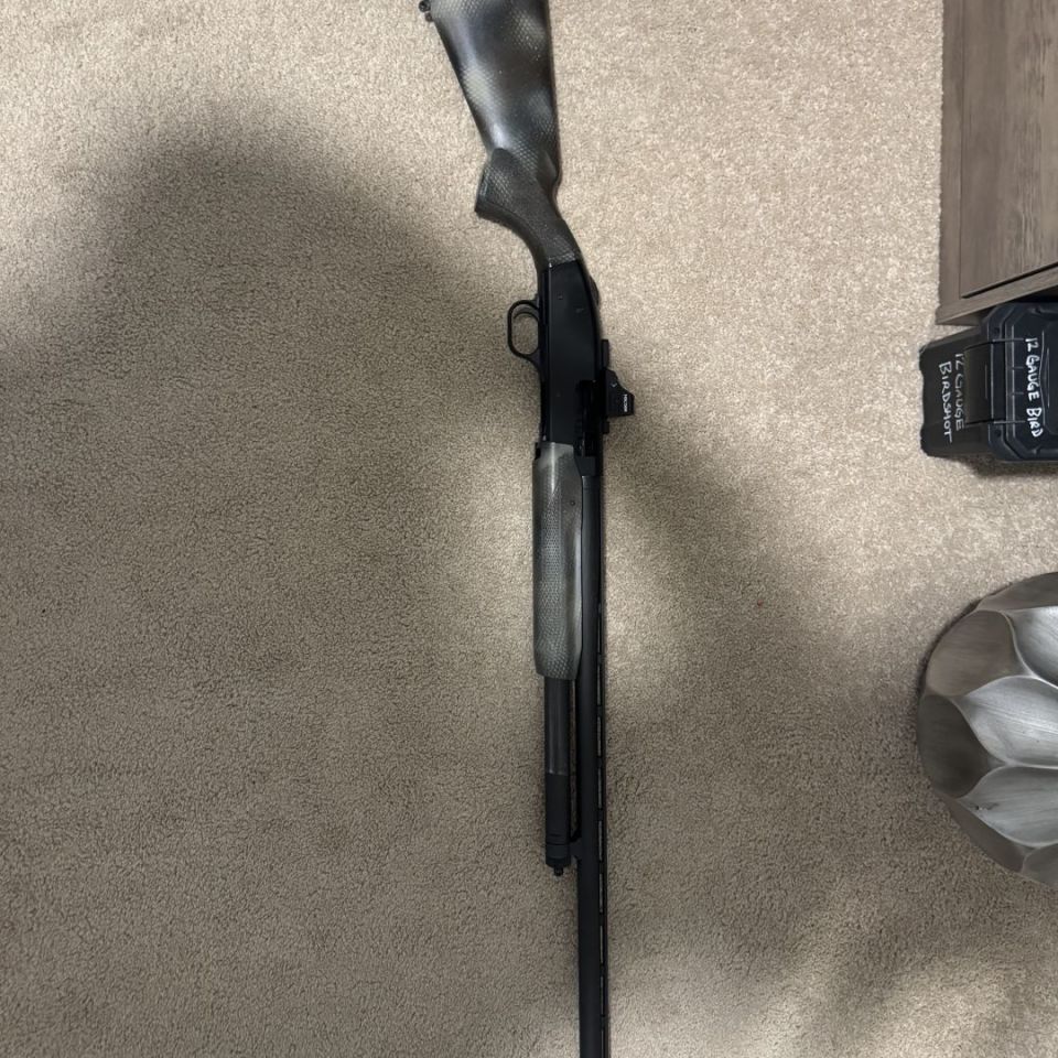 Post 1 - Mossberg 500 with Holosun 507C