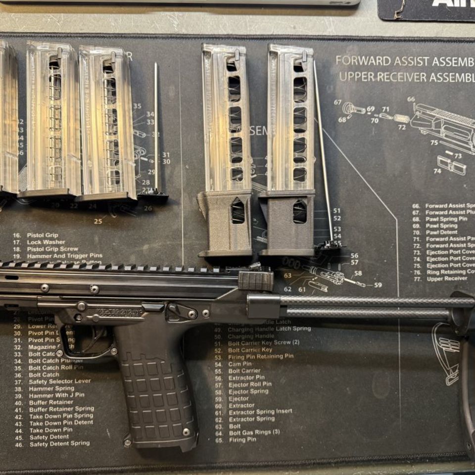 Post 1 - Keltec cp33