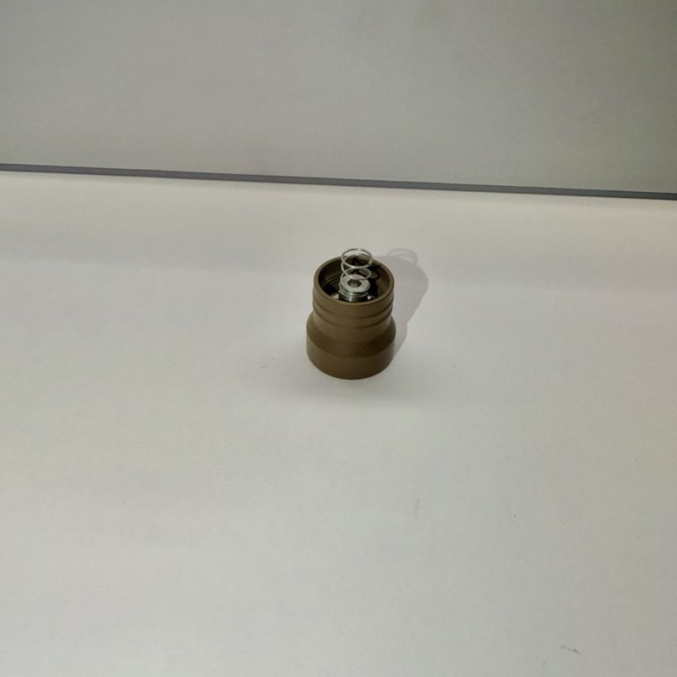 Post 3 - Arisaka Momentary Tailcap FDE