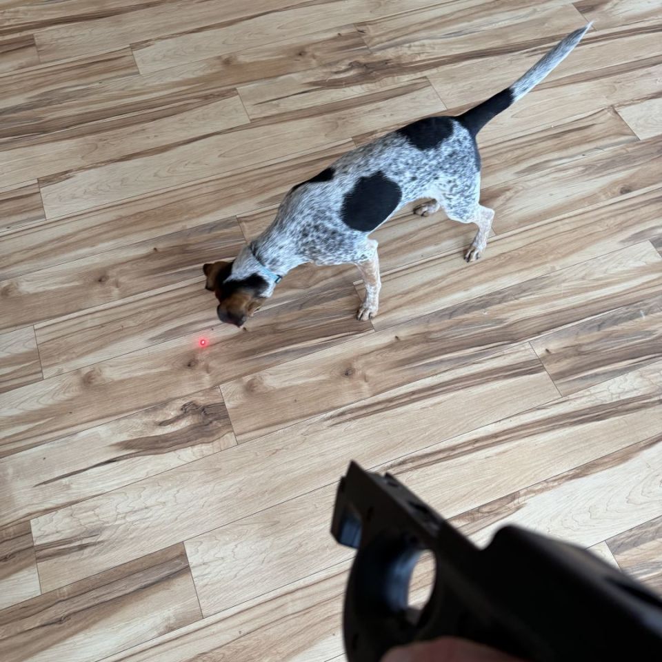 Post 2 - OEM FN P90 Laserex laser stock