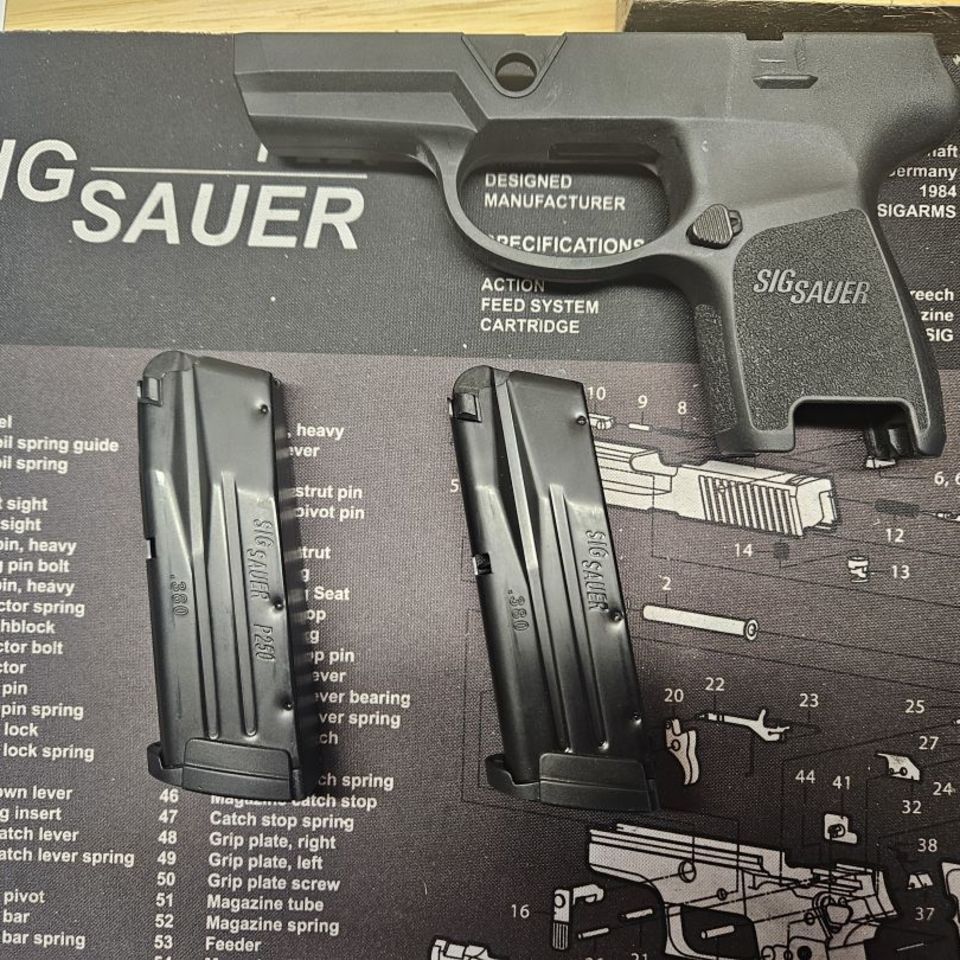 Post 1 - Sig p250 .380 auto magazine 