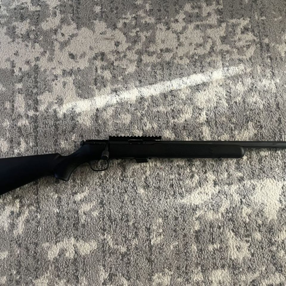 Post 4 - Savage Mkii fv-sr