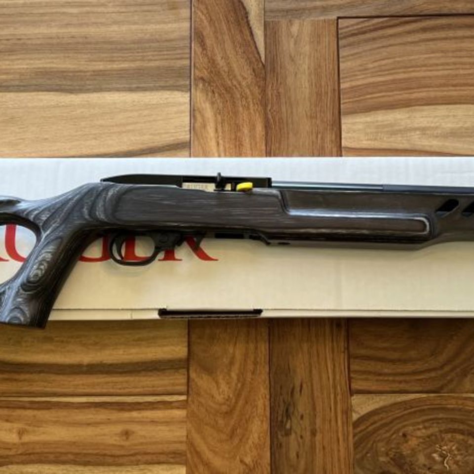 Post 1 - Ruger 10/22 Target.