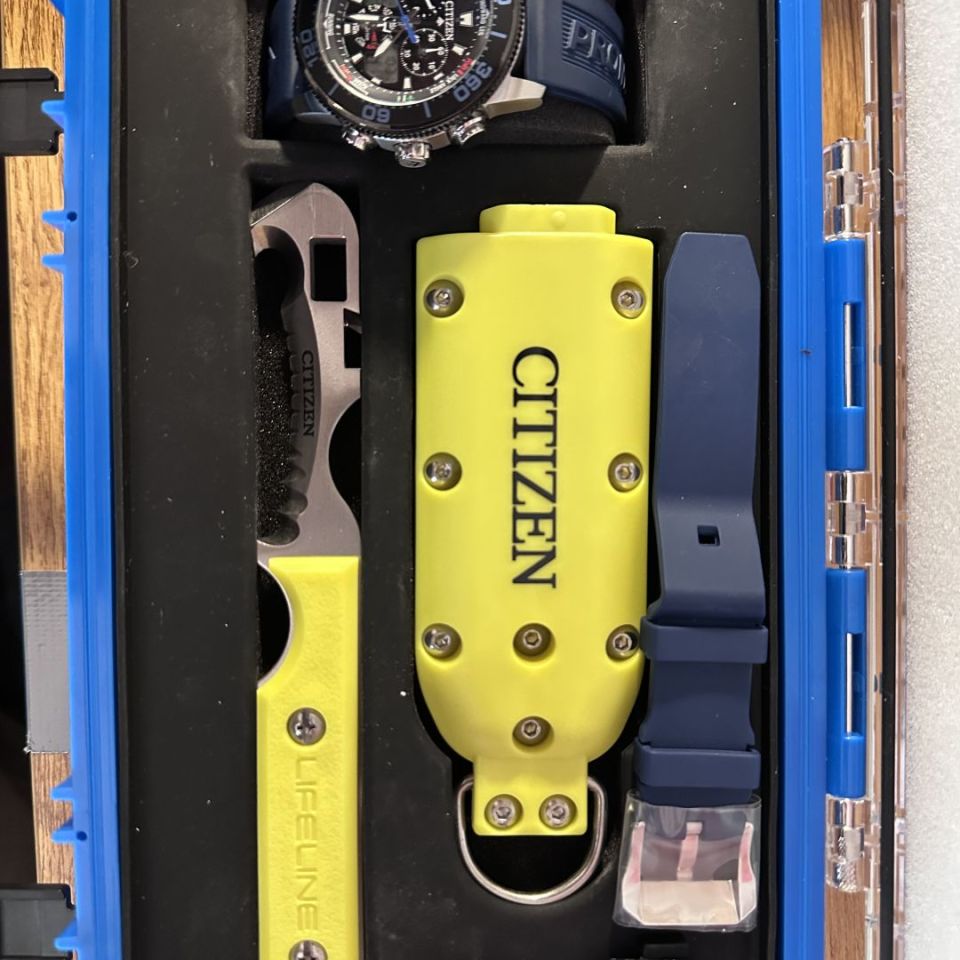 Post 1 - Citizen Promaster Aqualand