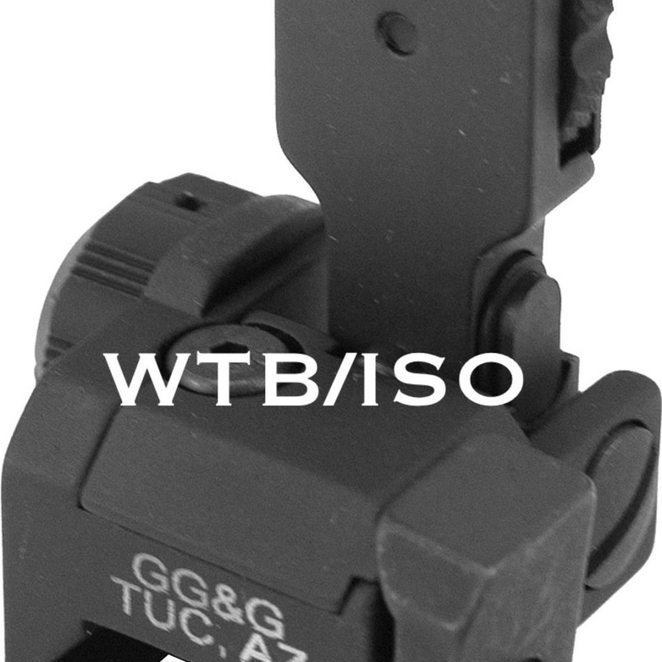 Post 1 - WTB/ISO GG&G MAD Rear Site