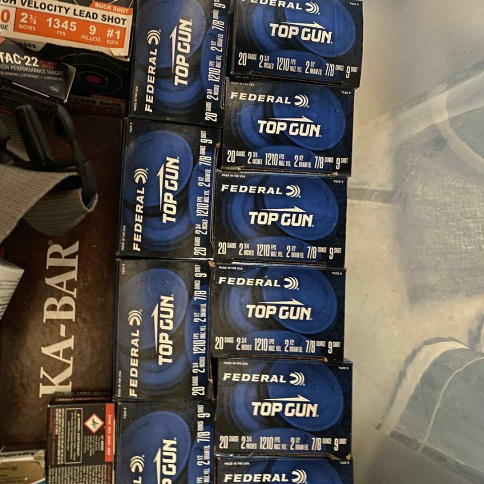 Post 1 - 20 gauge ammo 