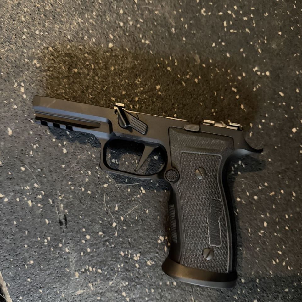 Post 3 - Sig P320 AXG