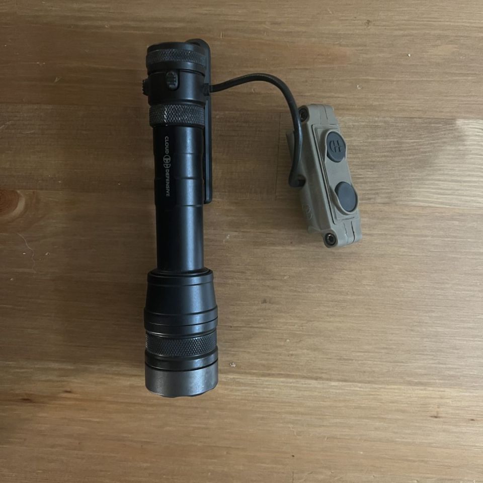 Post 1 - CD Rein 1.0 Fullsize