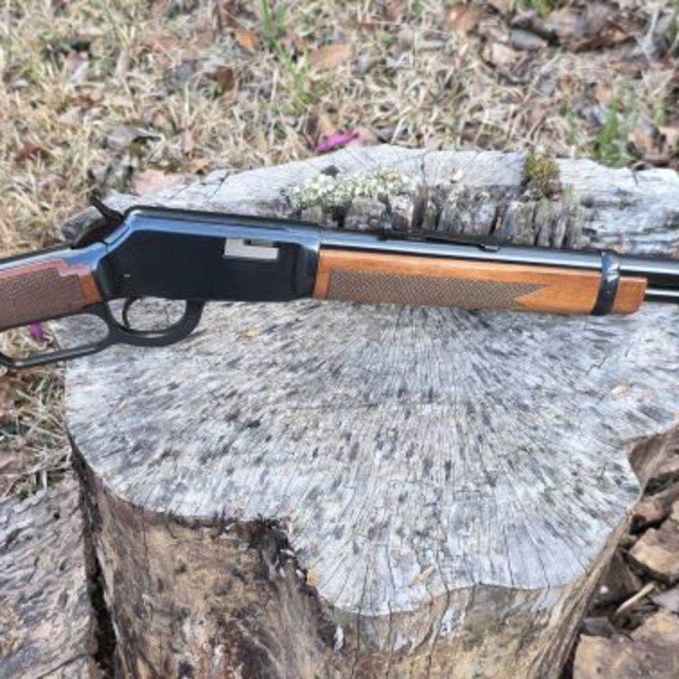 Post 4 - Winchester Model 9422
