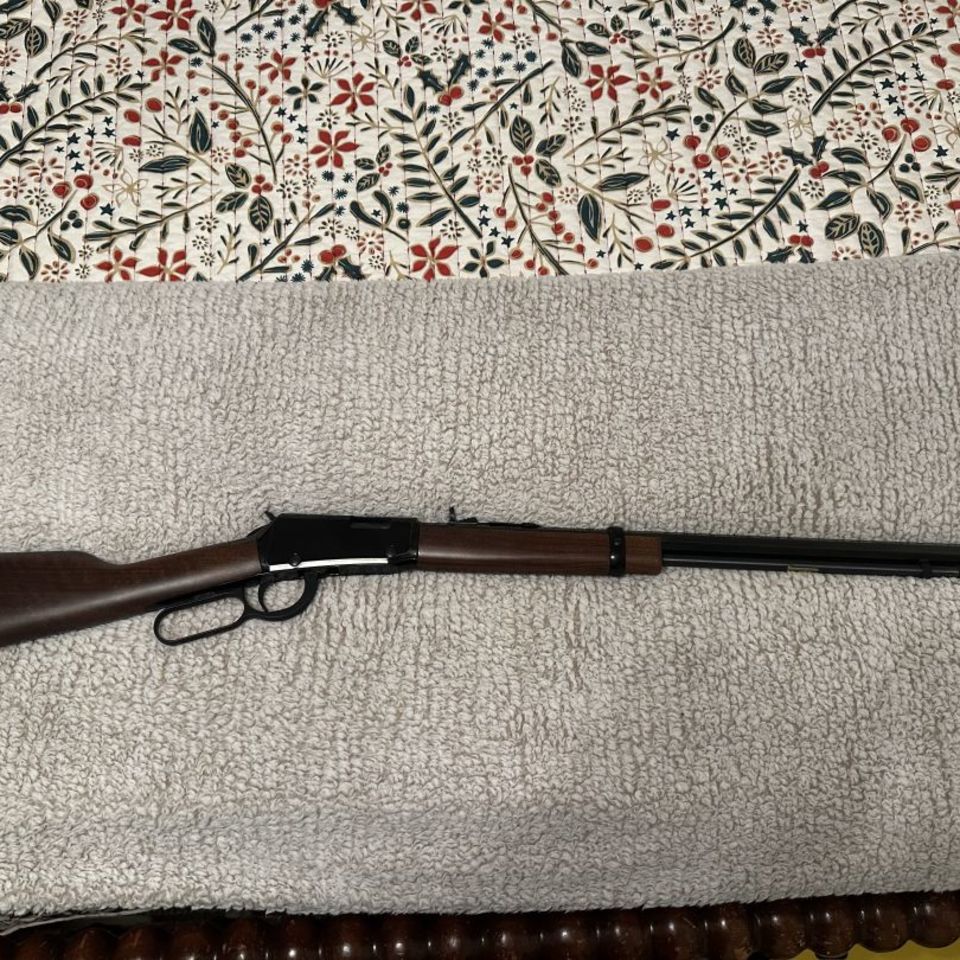 Post 1 - Henry Frontier 22lr 