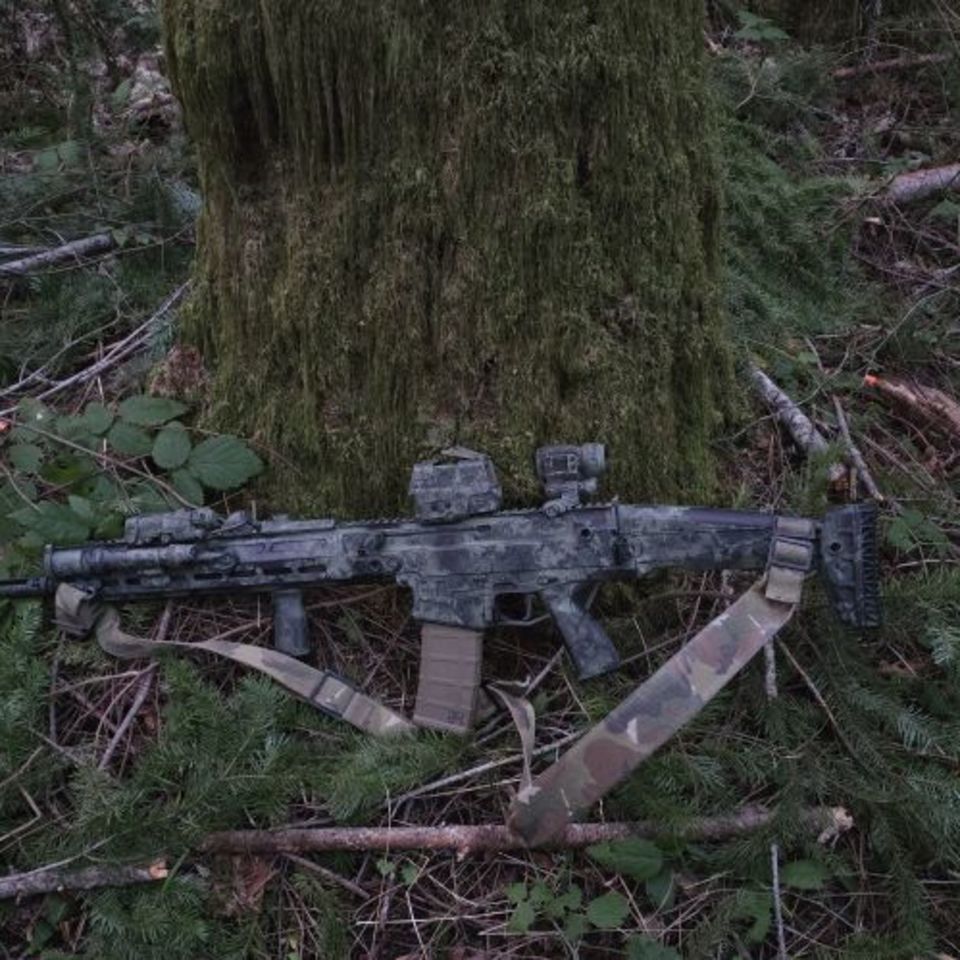 Post 2 - CZ Bren 2 MS Carbine