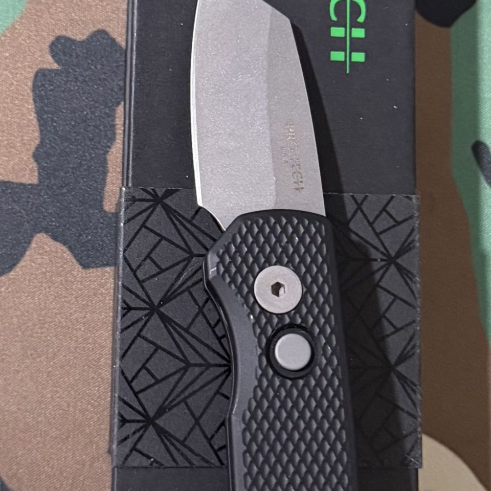 Post 3 - Protech Runt 5 Auto