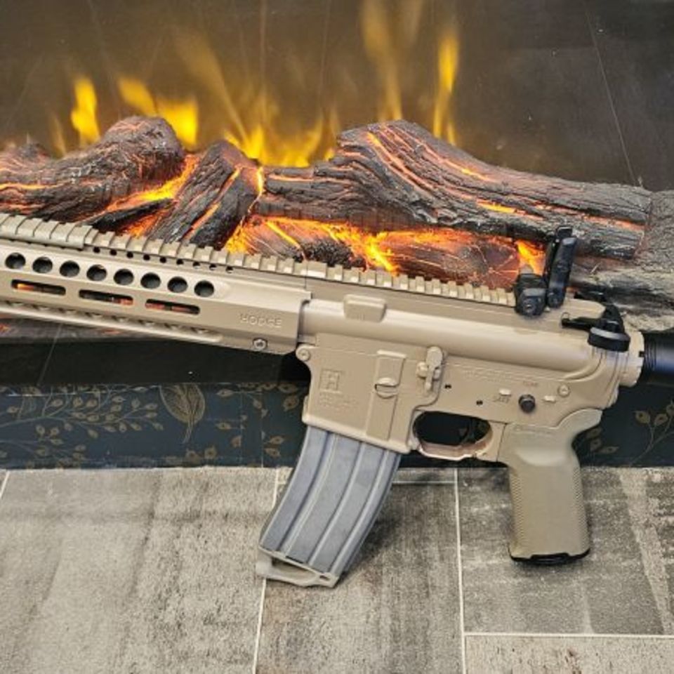 Post 5 - Hodge Au Mod 1