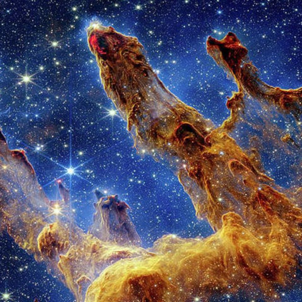 Post 4 - ptr91 mlok handguard