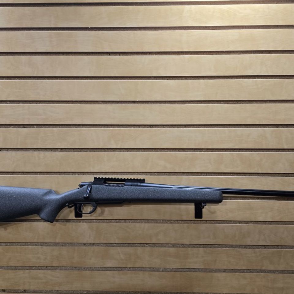 Post 3 - Remington 700 Alpha 1