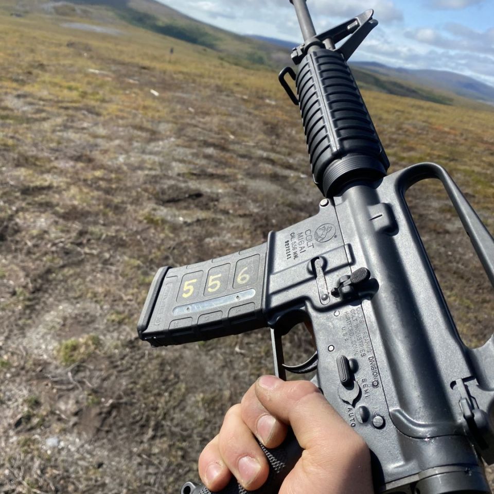 Post 4 - Colt M16A1 Carbine