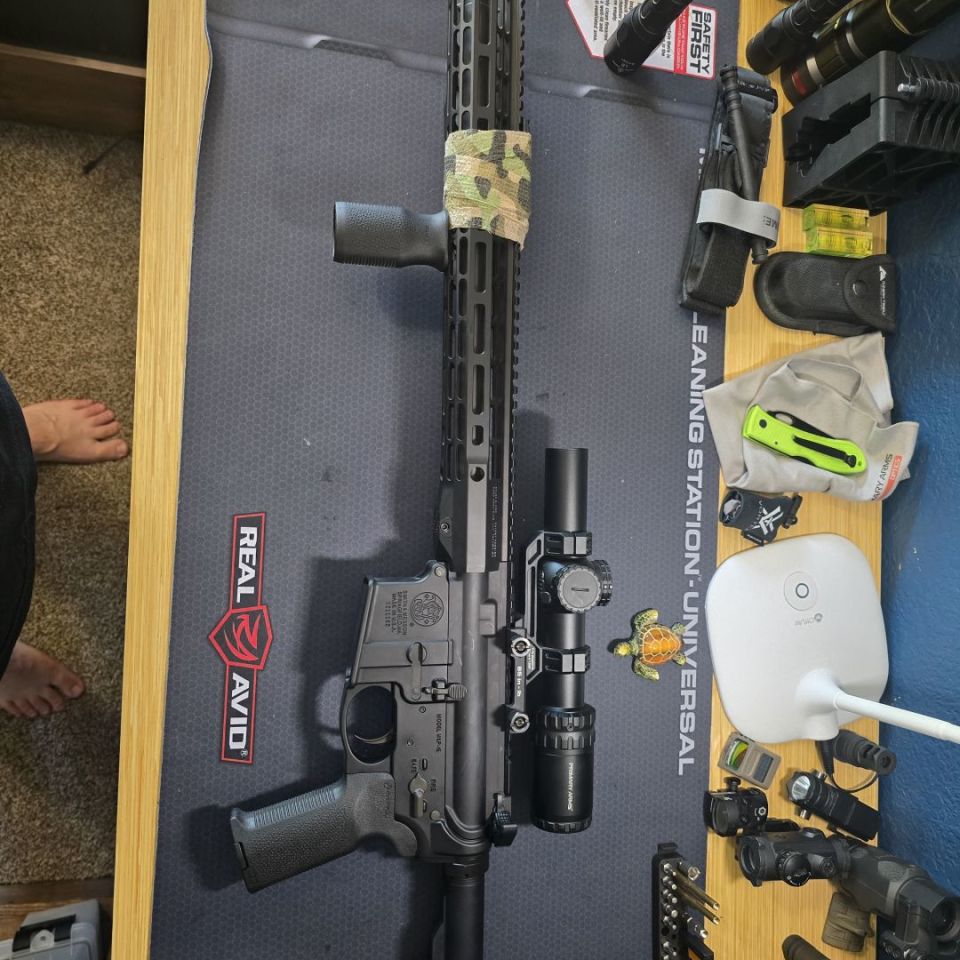 Post 1 - Ballistics advantage/m&p15