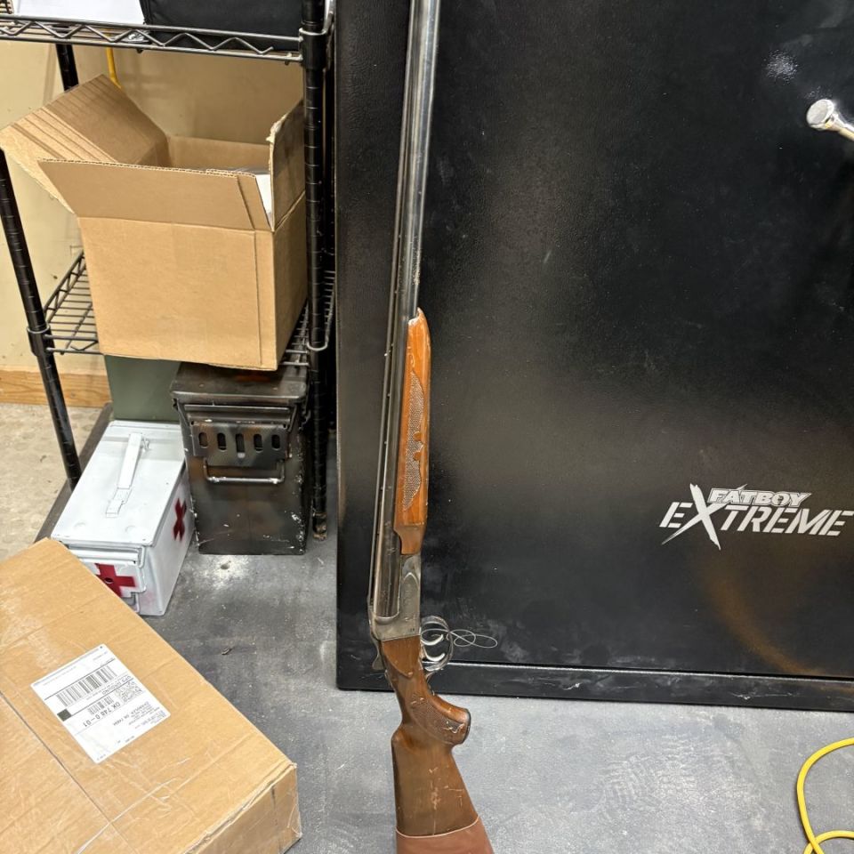 Post 2 - Savage Fox Model B 12ga